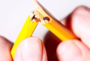 reaching breaking point with stress and anxiety